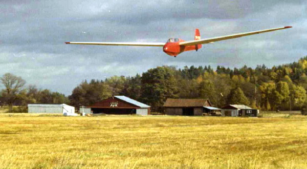 Bergfalke landar i Arboga