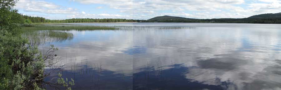 Panorama