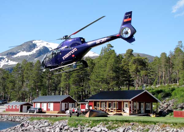 Fiskflyg_vid_St_sjofallet