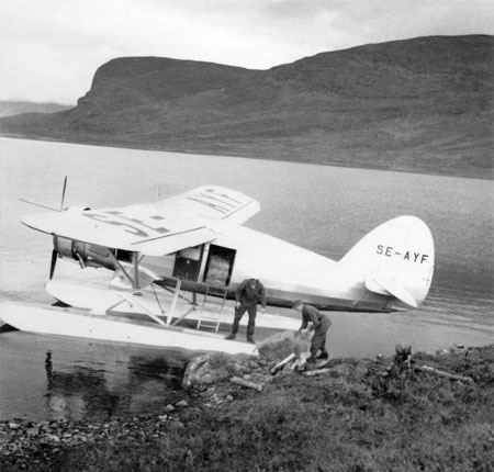 JK-31d
